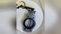 Zhv NBR EPDM con cuerpo de acero al carbono asentado Semi